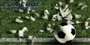 Cá Cược Bóng Đá Sin88 - Đánh Giá Nền Tảng Uy Tín Năm 2025 2 ca cuoc bong da sin88