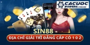 sin88 anh dai dien