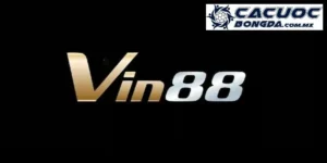 vin88 anh dai dien